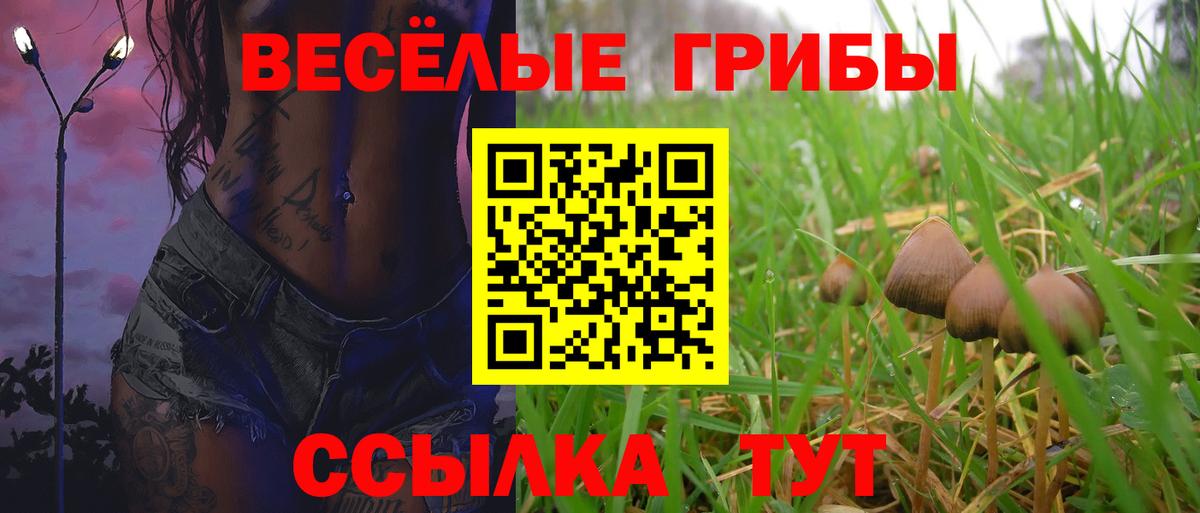 Псилоцибиновые грибы MAGIC MUSHROOMS Звенигород