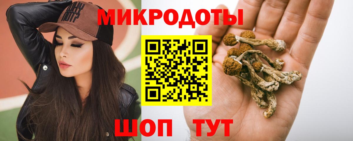 сколько стоит  Вход с VPN  Звенигород  Галлюциногенные грибы Magic Shrooms 